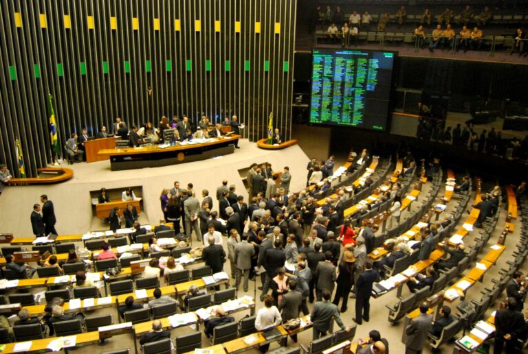 PEC 17/24: A Eficiência Administrativa como Novo Princípio Constitucional