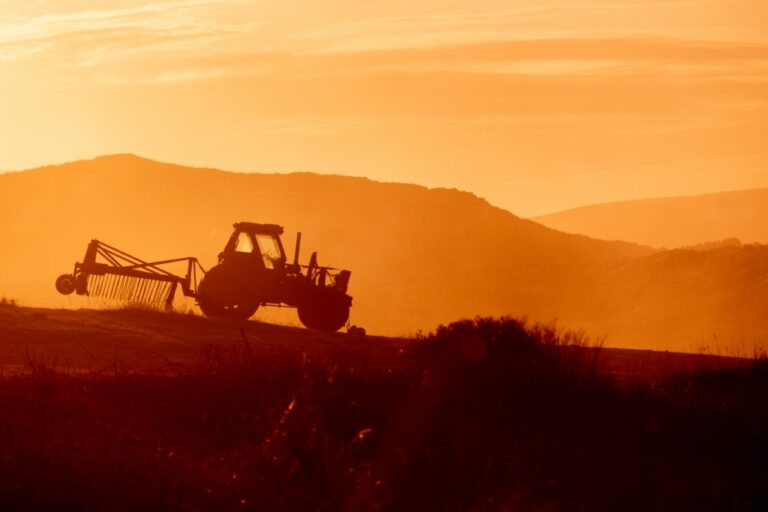 Reforma Tributária no Agronegócio: Como Otimizar a Eficiência nas Exportações